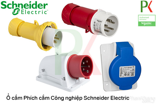 Ổ cắm công nghiệp Schneider Electric