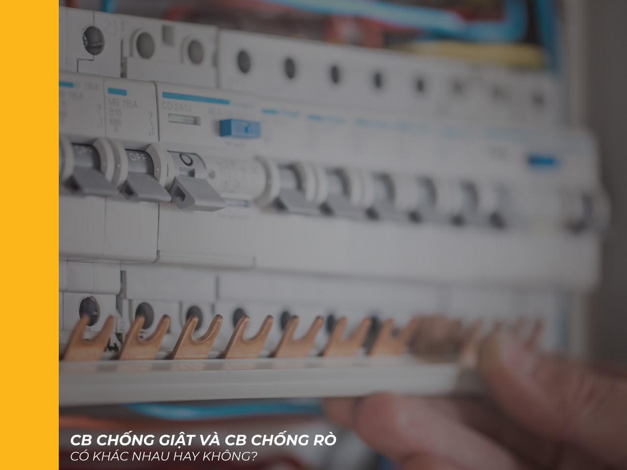 cb chong gia chong ro banner