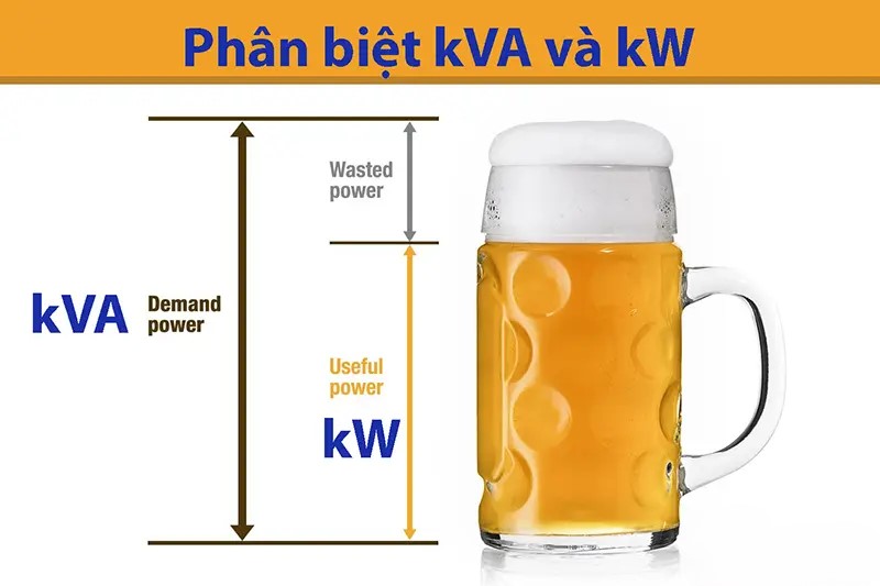 Minh họa cấu trúc của phan khang 3