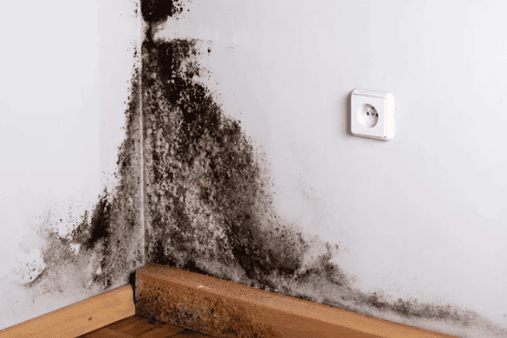 Cách xử lý nhanh khi aptomat nhảy vào ban đêm tuong-nom-am-gay-ro-dien