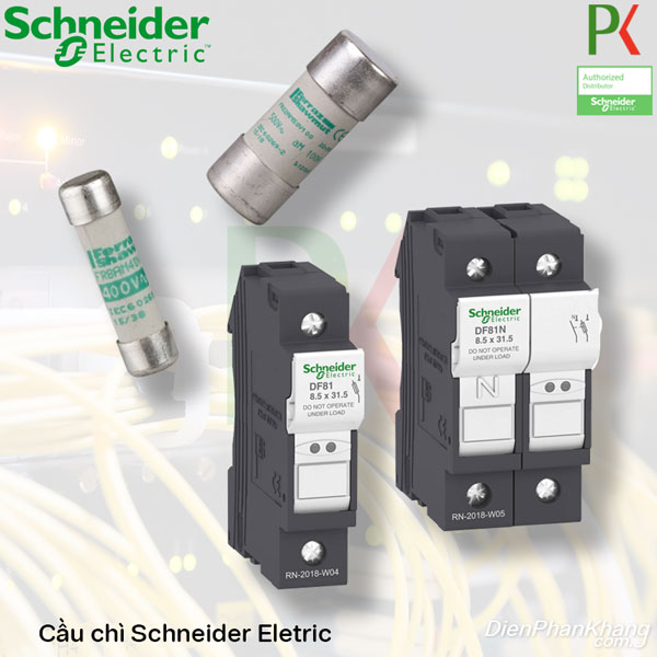 Cầu chì và vỏ cầu chì Schneider Electric