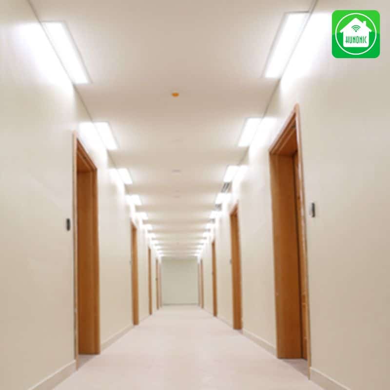 Đèn cảm ứng là giải pháp thông minh cho người tiêu dùng