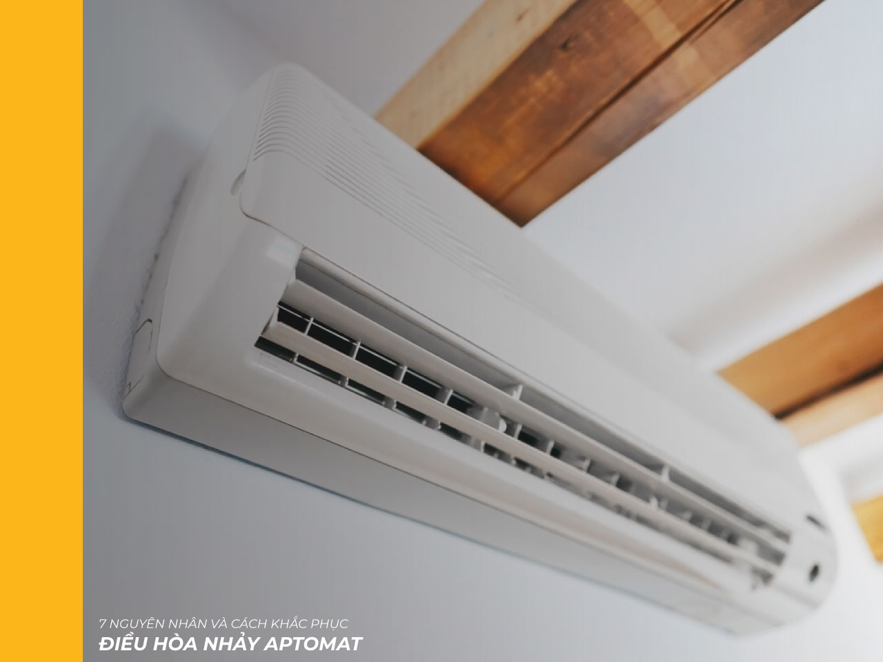 chủ đề-hoa-ánh sáng-aptomat-banner