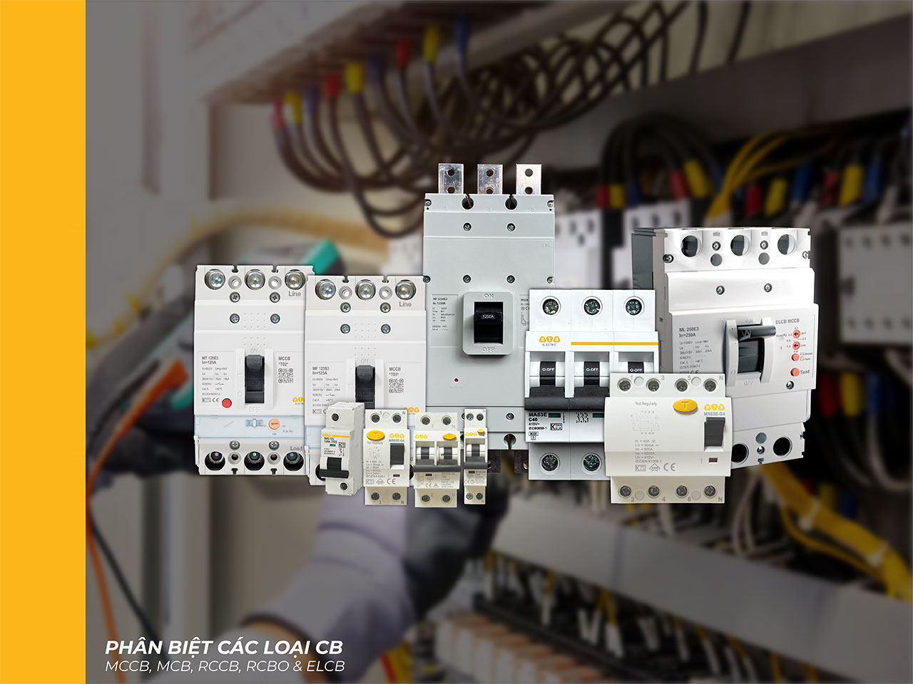 Phân biệt-các-loại-của-cb-01